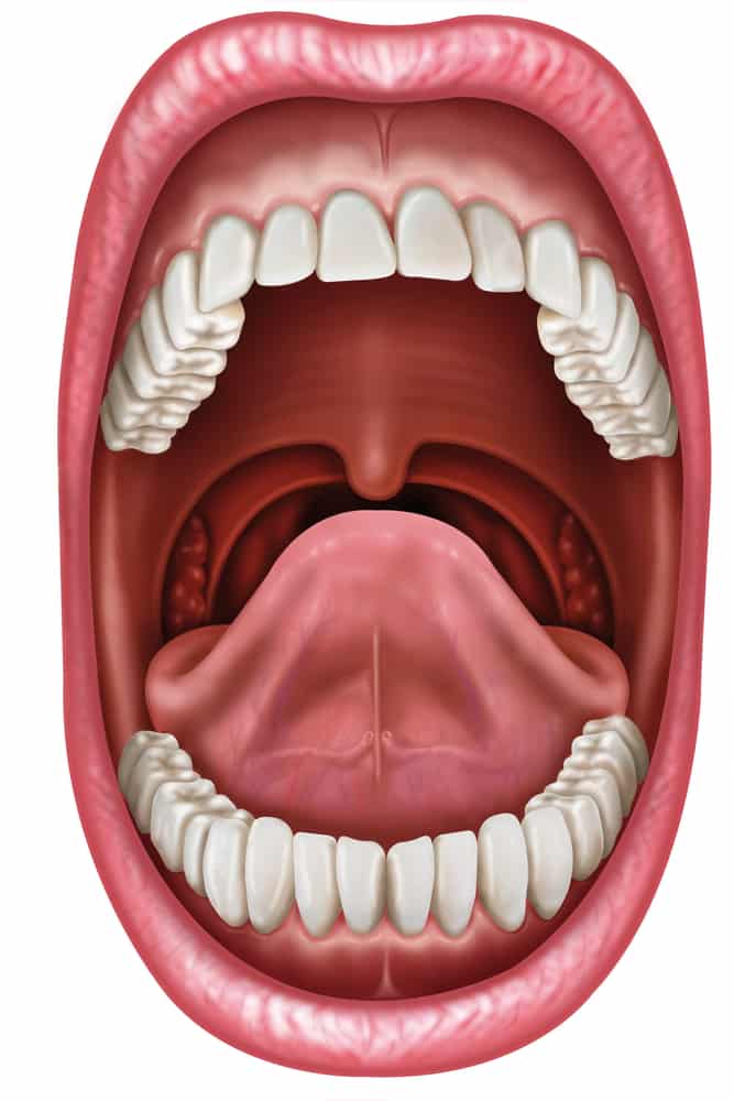 Digestion And Dental Health - Reno